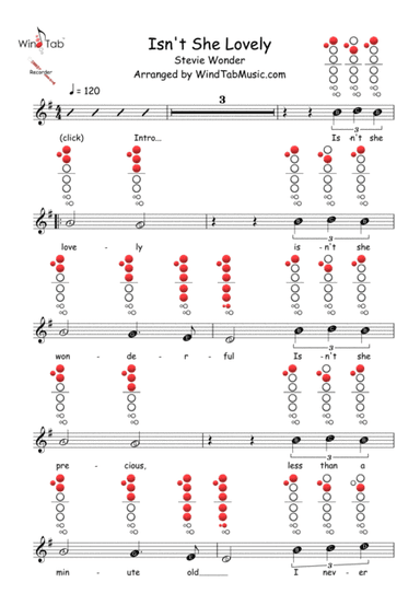Isn't She Lovely (arr. WindTab)