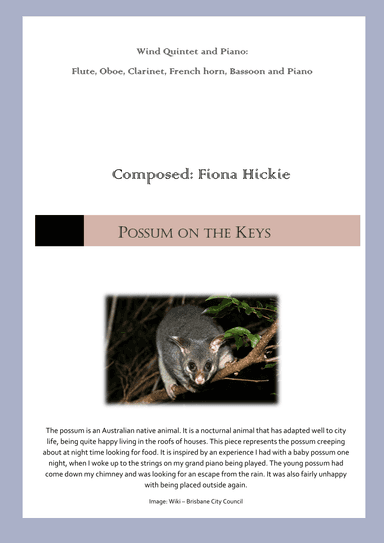 Possum on the Keys
