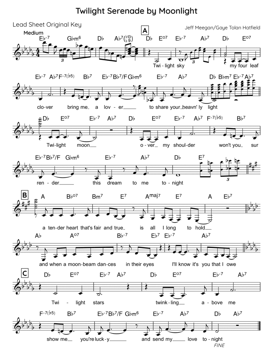 Twilight Serenade by Moonlight