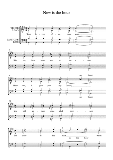 Now Is The Hour (maori Farewell Song) (arr. Benjamin Neldner)
