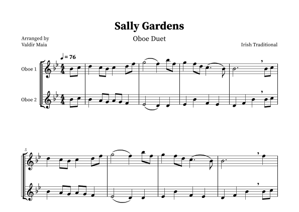 Sally Gardens - Oboe Duet (arr. Valdir Maia)