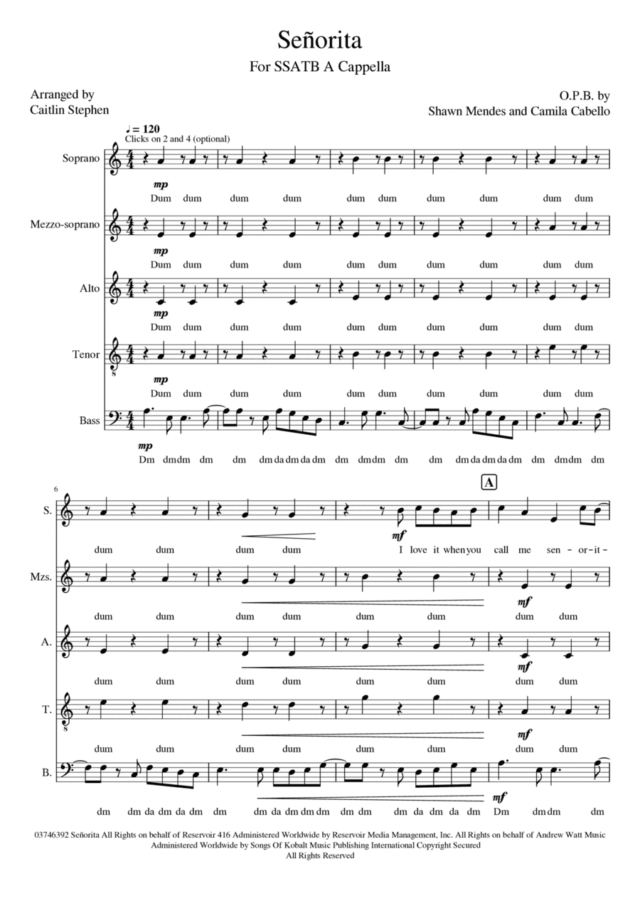 Senorita (arr. Caitlin Stephen)