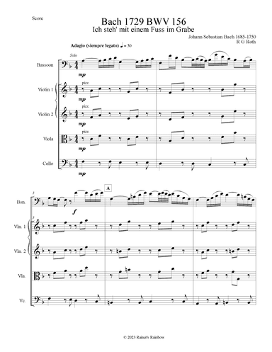 Bach 1729 BWV 156 Adagio for Bassoon Solo and Strings Parts and Score (arr. R G Roth)