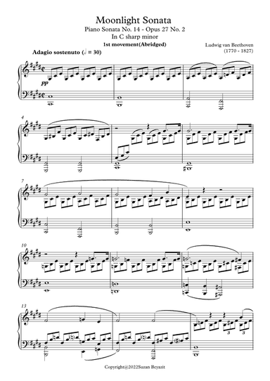 Moonlight Sonata in C sharp minor (arr. Suzan Beyazit)
