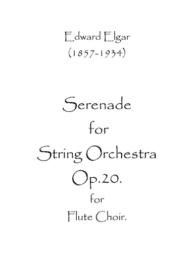 Serenade for String Orchestra Op.20 (arr. Spence Bundy)