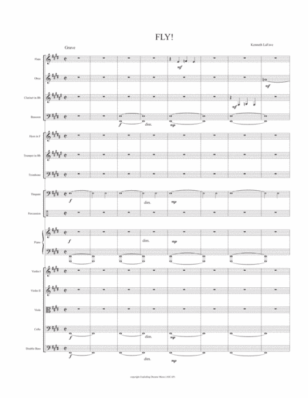 Fly! overture for orchestra