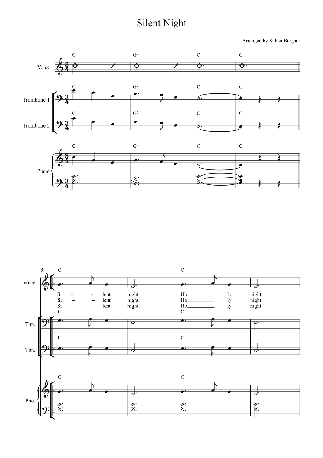 Silent Night (arr. Sidnei Borgani)