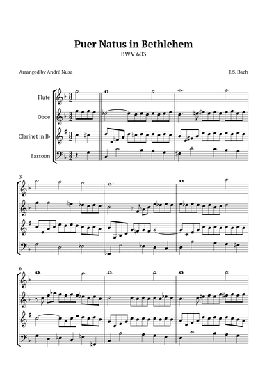 Puer Natus in Bethlehem BWV 603 (arr. André Nusa)