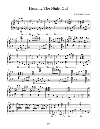 Hearing The Night Owl