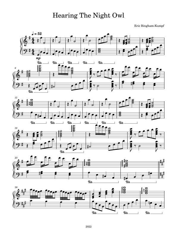 Hearing The Night Owl