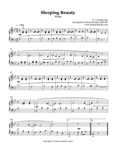 Waltz from Sleeping Beauty (arr. Joshua Chandra)