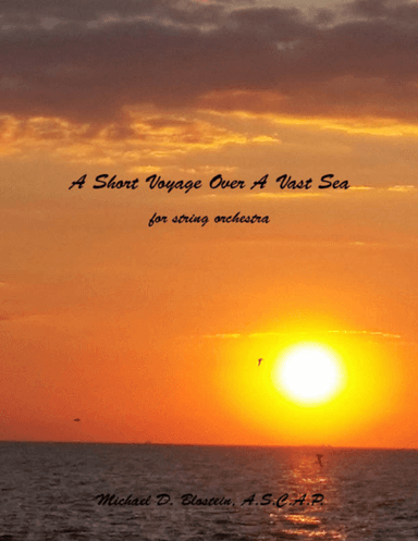 A Short Voyage Over A Vast Sea