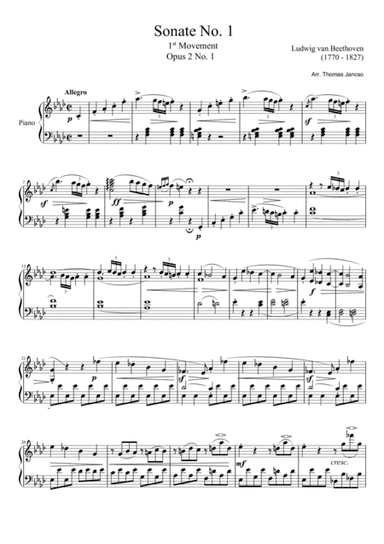 Beethoven Sonata No.1 (arr. Thomas Jancso)