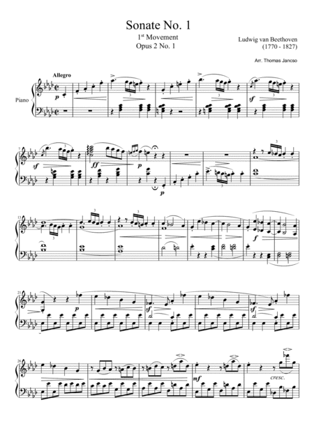 Beethoven Sonata No.1 (arr. Thomas Jancso)