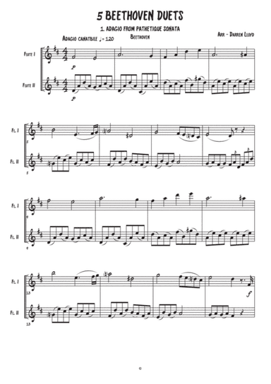 5 Beethoven duets - For Flutes (arr. Darren Lloyd)