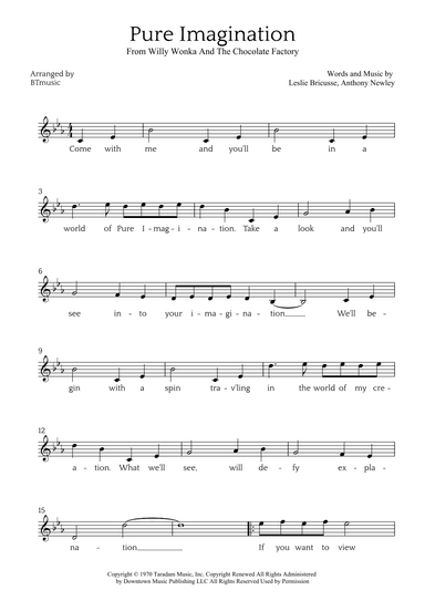Pure Imagination (arr. BTmusic)