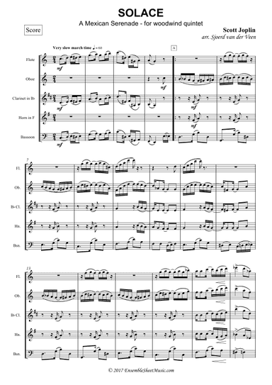 Solace, a Mexican Serenade (arr. Sjoerd van der Veen)