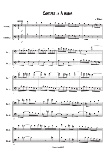 Bassoon duet -  Bach Violin concerto A minor 1st movement (arr. Darren Lloyd)