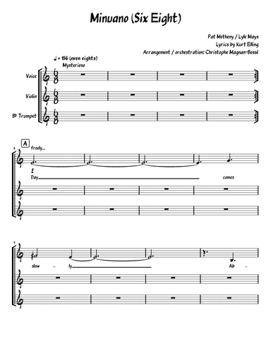 Minuano (six-eight) (arr. Christophe Magnan-Bossé)