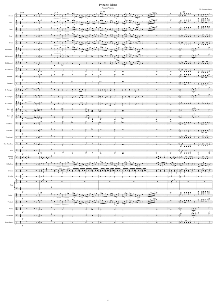 Princess Diana (Amazon Warrior)