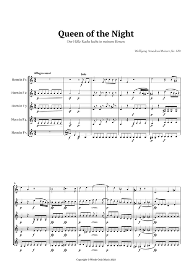 Queen of the Night Aria by Mozart for French Horn Quintet (arr. Ander)