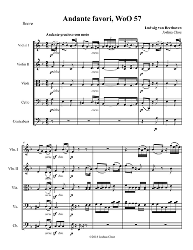 Andante Favori (arr. Joshua Choe)