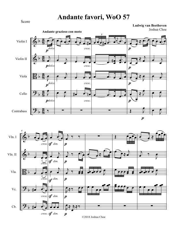 Andante Favori (arr. Joshua Choe)