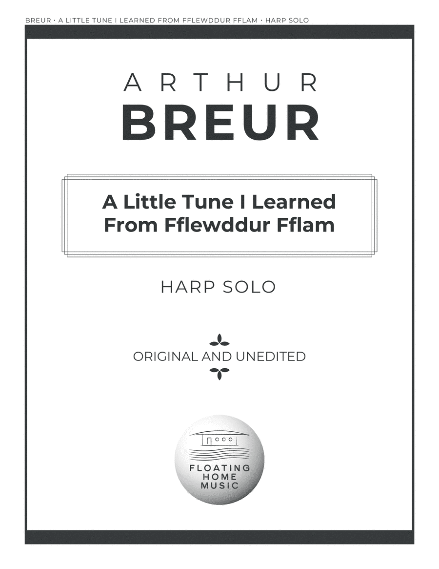 A Little Tune I Learned From Fflewddur Fflam - Harp Solo