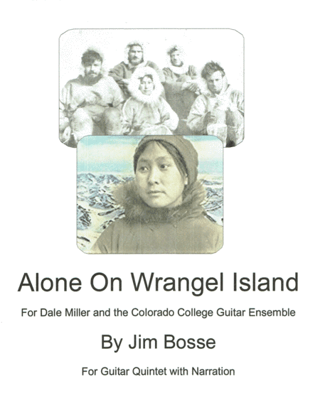 Alone on Wrangel Island