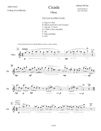 Cicada (College difficulty)