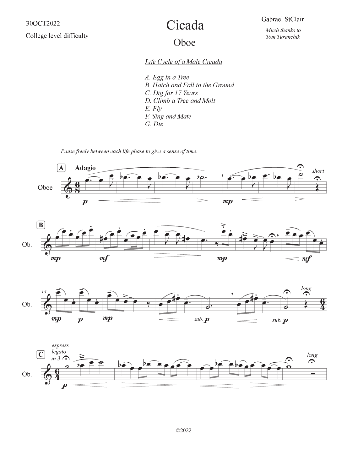 Cicada (College difficulty)