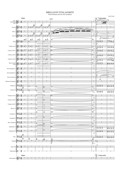 Tomaz Nedoh: Brilliant Stalagmite for Alto Saxophone and Concert Band