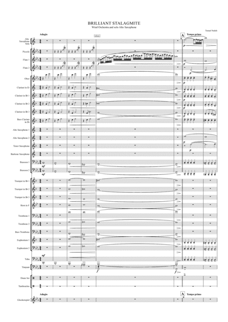 Tomaz Nedoh: Brilliant Stalagmite for Alto Saxophone and Concert Band