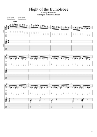 Rimsky-Korsakov - Flight of the Bumblebee - Guitar Duet (arr. Razvan Lazea)