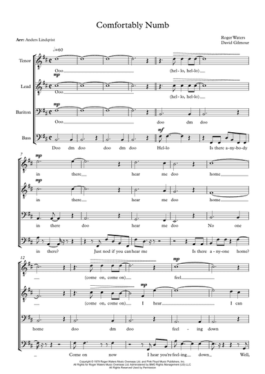 Comfortably Numb (arr. Anders Lindqvist)