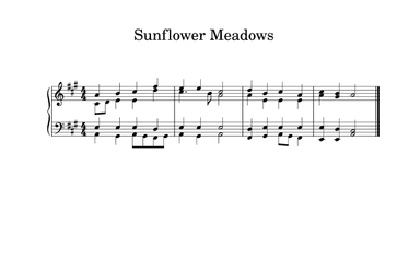 Sunflower Meadows
