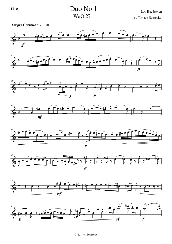 Beethoven Duo1 WoO 27 Flute/Clarinet (arr. Torsten Seinecke)