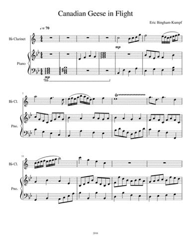 Canadian Geese in Flight