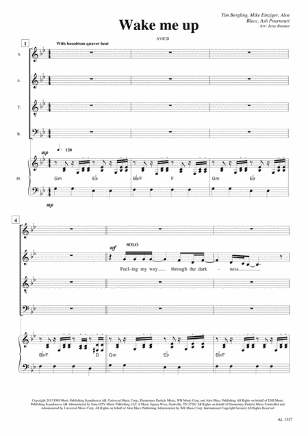 Wake Me Up (arr. Jetse Bremer)