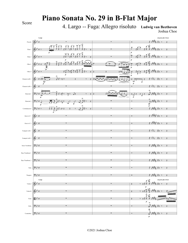 Hammerklavier Sonata, Movement 4 (arr. Joshua Choe)
