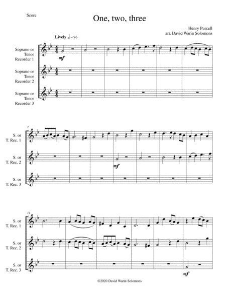 Eight Classical and Traditional Canons for 3 soprano or tenor recorders (arr. David Warin Solomons)