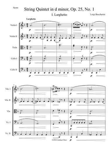 String Quintet in d minor, Op. 25, No. 1, Movement 1 (arr. Joshua Choe)