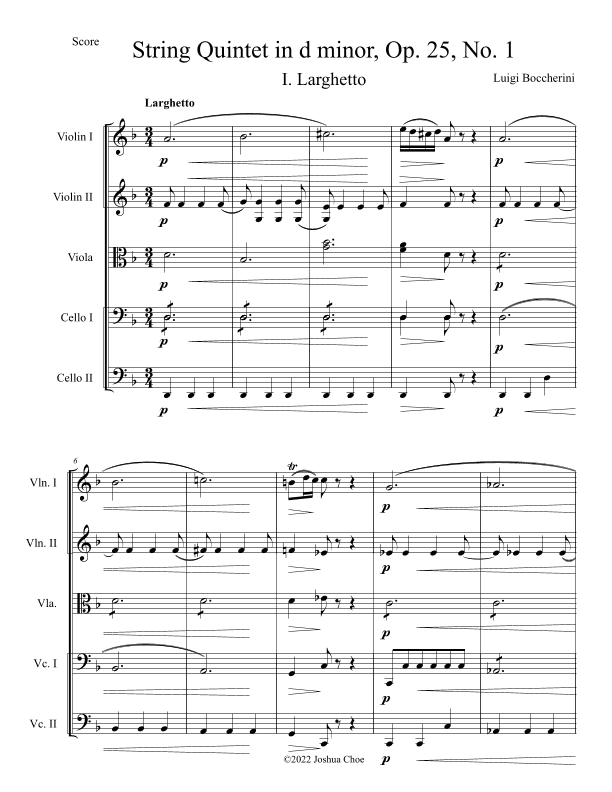 String Quintet in d minor, Op. 25, No. 1, Movement 1 (arr. Joshua Choe)