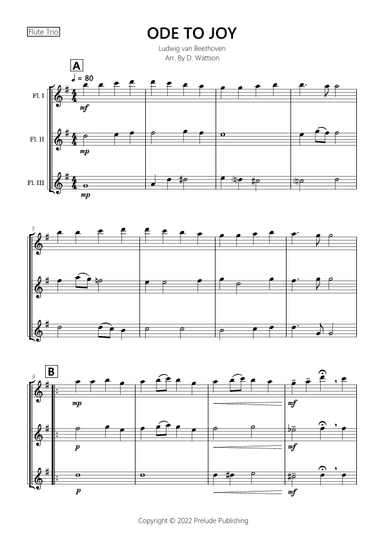 Ode To Joy Flute Trio (arr. D. Wattson)