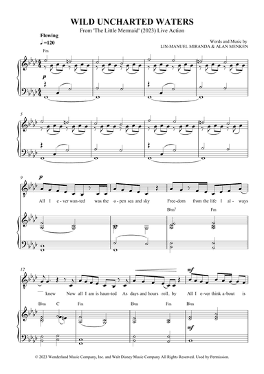 Wild Uncharted Waters (arr. SCMusic)