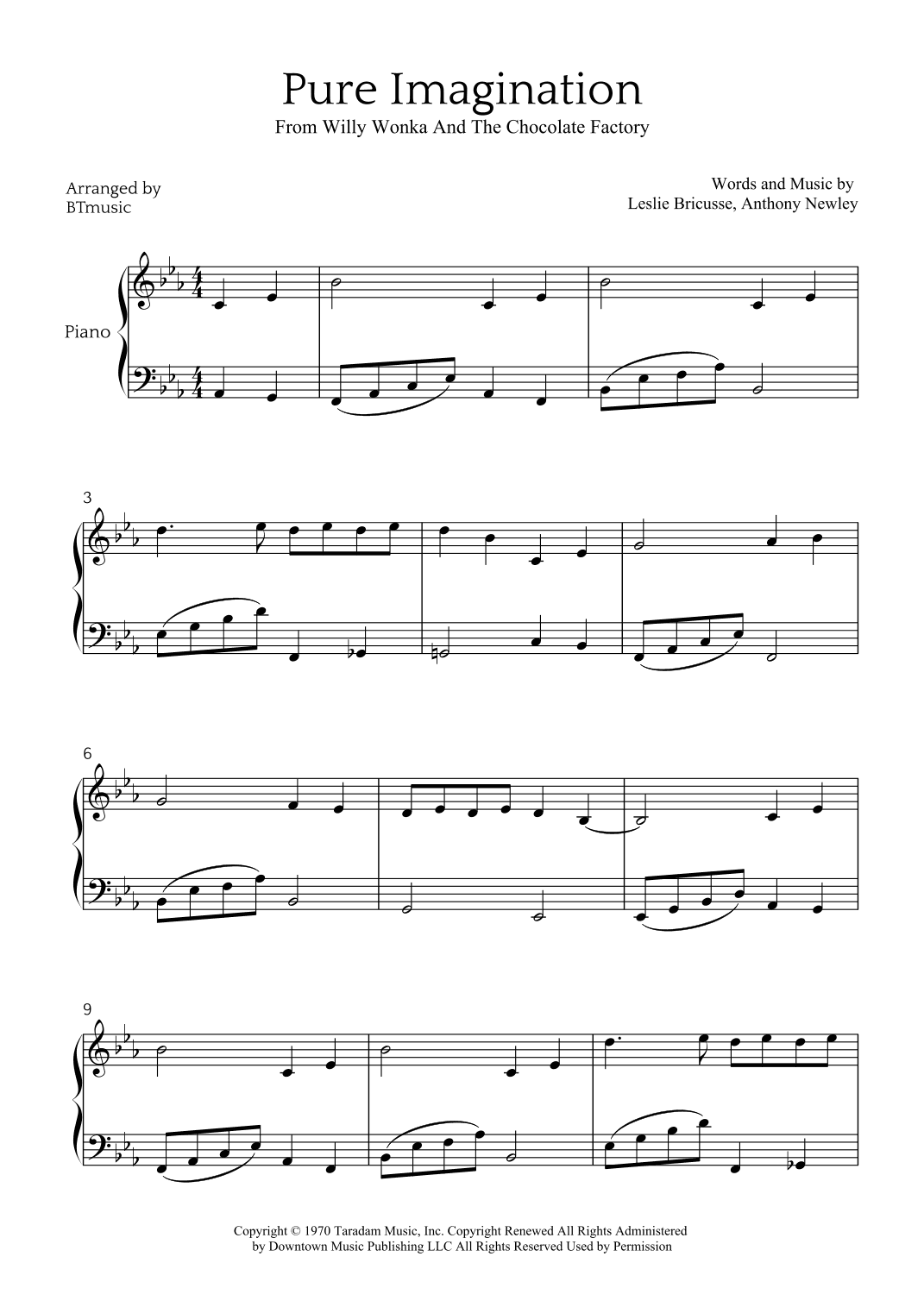 Pure Imagination (arr. BTmusic)