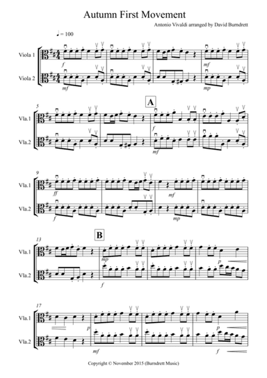 Danny Boy for Viola Duet (arr. David Burndrett)