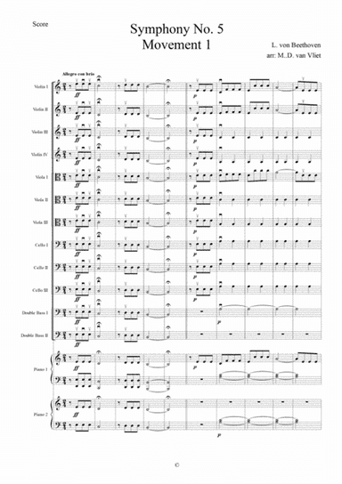 Multi Level Beethoven 5 Allegro con brio String Orchestra and Piano (arr. Michiel van Vliet)