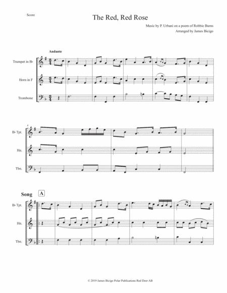 The Red, Red Rose (arr. James Bicigo)