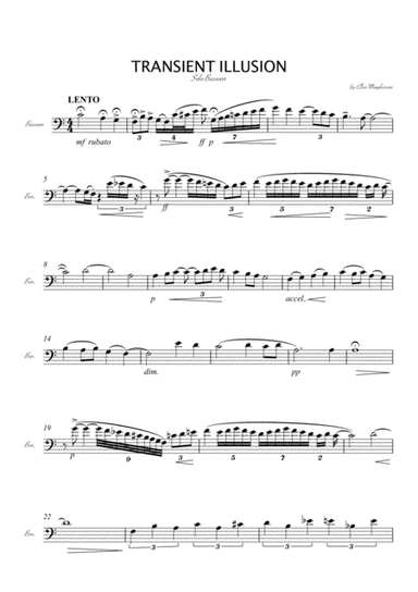 Transient Illusion - Solo Bassoon